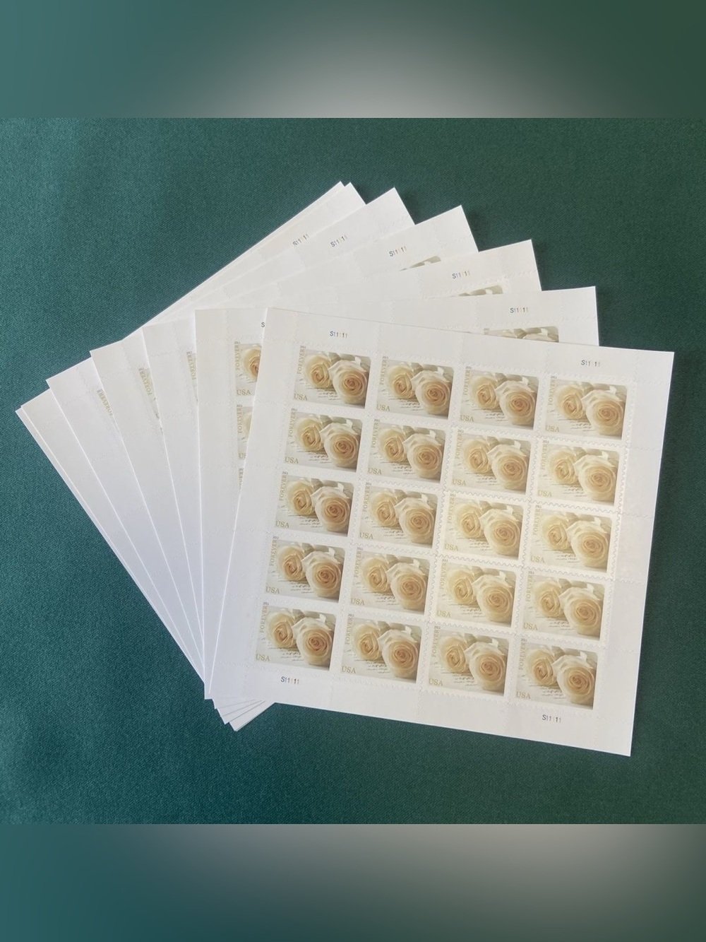 White Rose Forever Stamp Sheet Set